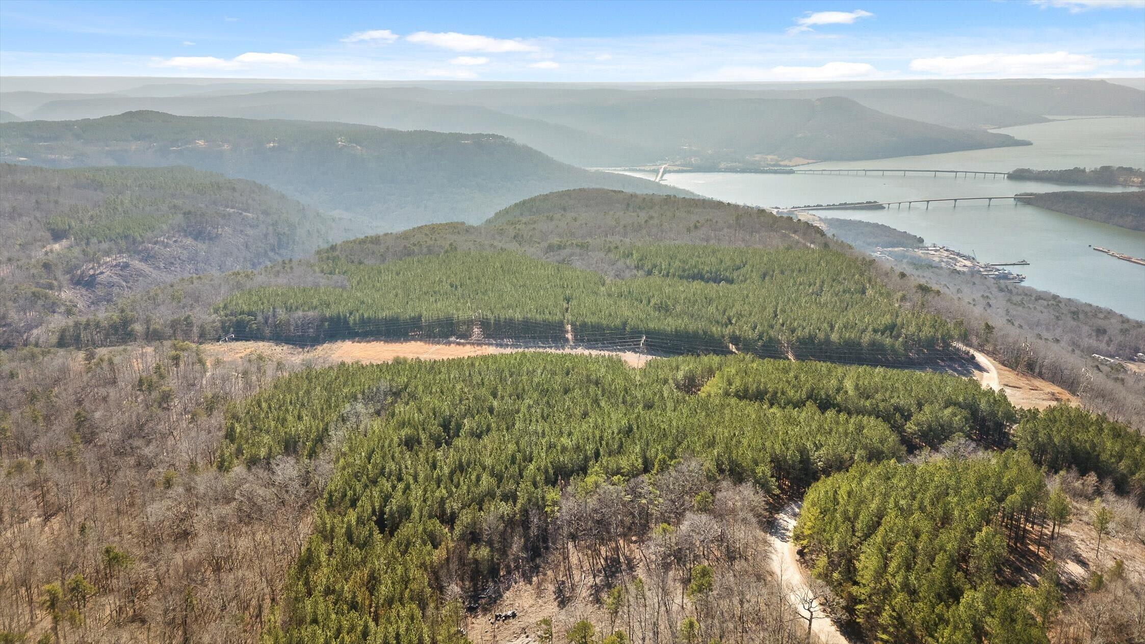 0 Wildlife Way Guild, TN 37340 - Photo 12 of 50 29-Wildlife-28