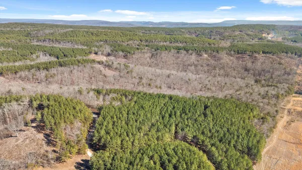 $233,000 | 0 Wildlife Way, Guild, TN 37340