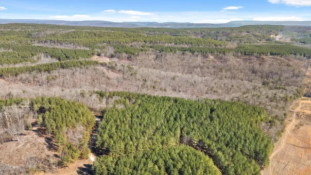 $233,000 | 0 Wildlife Way, Guild, TN 37340