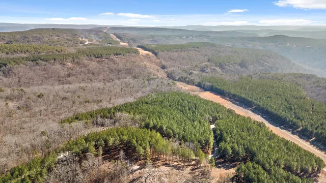 $233,000 | 0 Wildlife Way, Guild, TN 37340