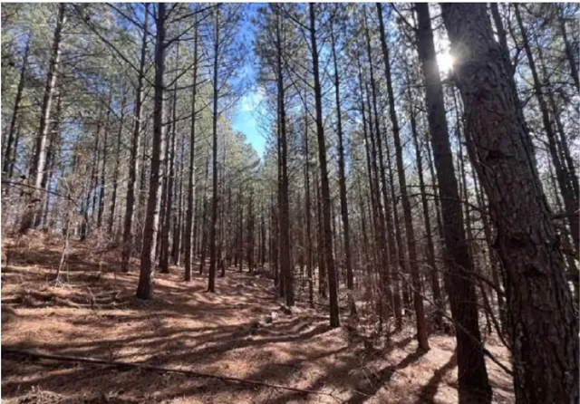 $235,000 | 0 Wildlife Way, Guild, TN 37340