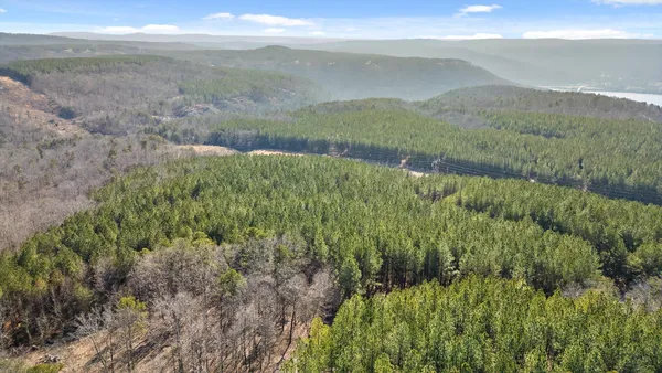$233,000 | 0 Wildlife Way, Guild, TN 37340
