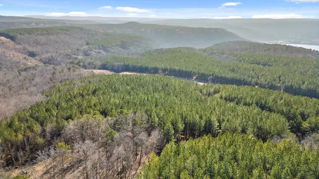 $233,000 | 0 Wildlife Way, Guild, TN 37340