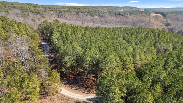 $233,000 | 0 Wildlife Way, Guild, TN 37340