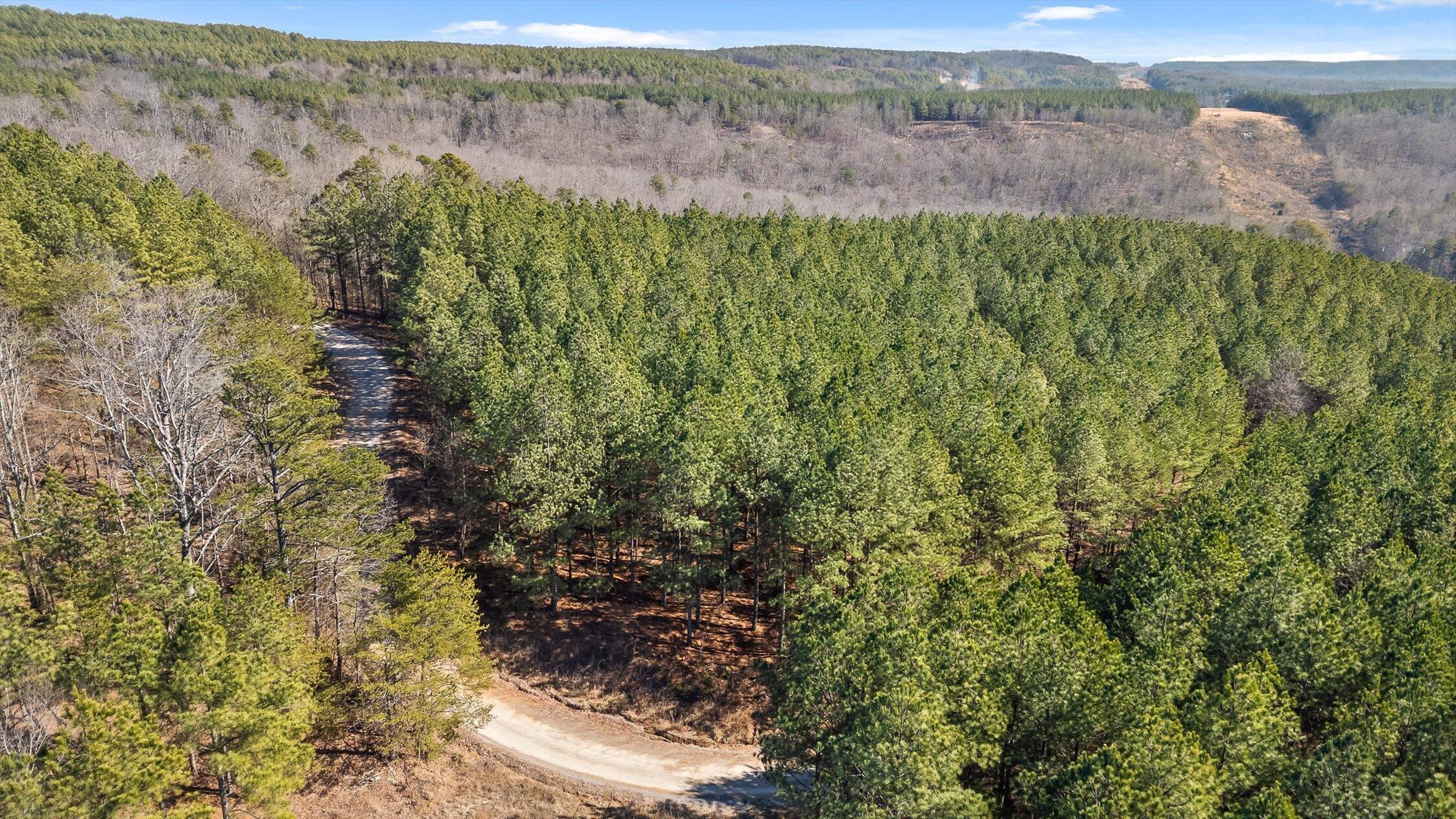 0 Wildlife Way Guild, TN 37340 - Photo 21 of 50 38-Wildlife-38