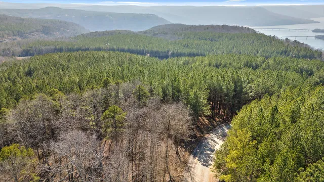 $233,000 | 0 Wildlife Way, Guild, TN 37340