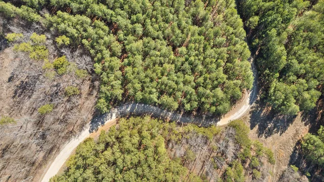 $233,000 | 0 Wildlife Way, Guild, TN 37340