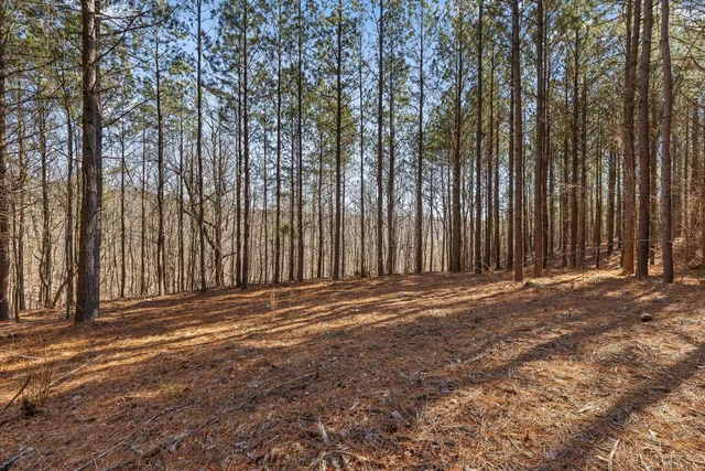 $233,000 | 0 Wildlife Way, Guild, TN 37340