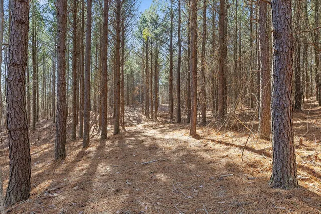 $233,000 | 0 Wildlife Way, Guild, TN 37340