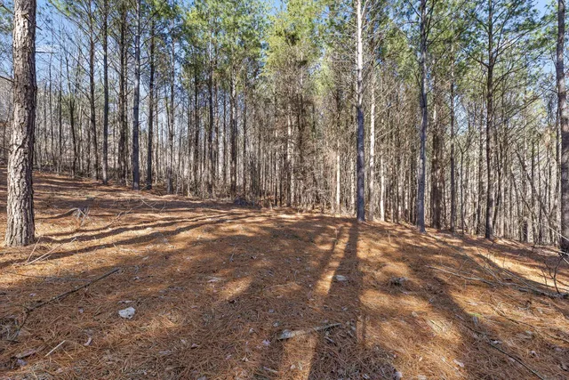 $233,000 | 0 Wildlife Way, Guild, TN 37340