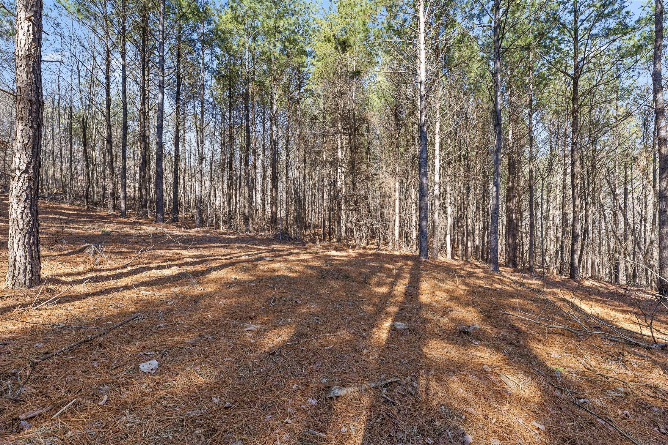 0 Wildlife Way Guild, TN 37340 - Photo 26 of 50 14-Wildlife-13