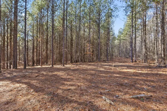 $233,000 | 0 Wildlife Way, Guild, TN 37340