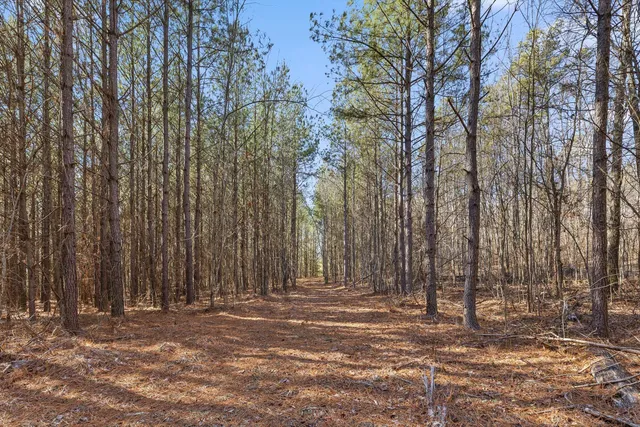 $233,000 | 0 Wildlife Way, Guild, TN 37340