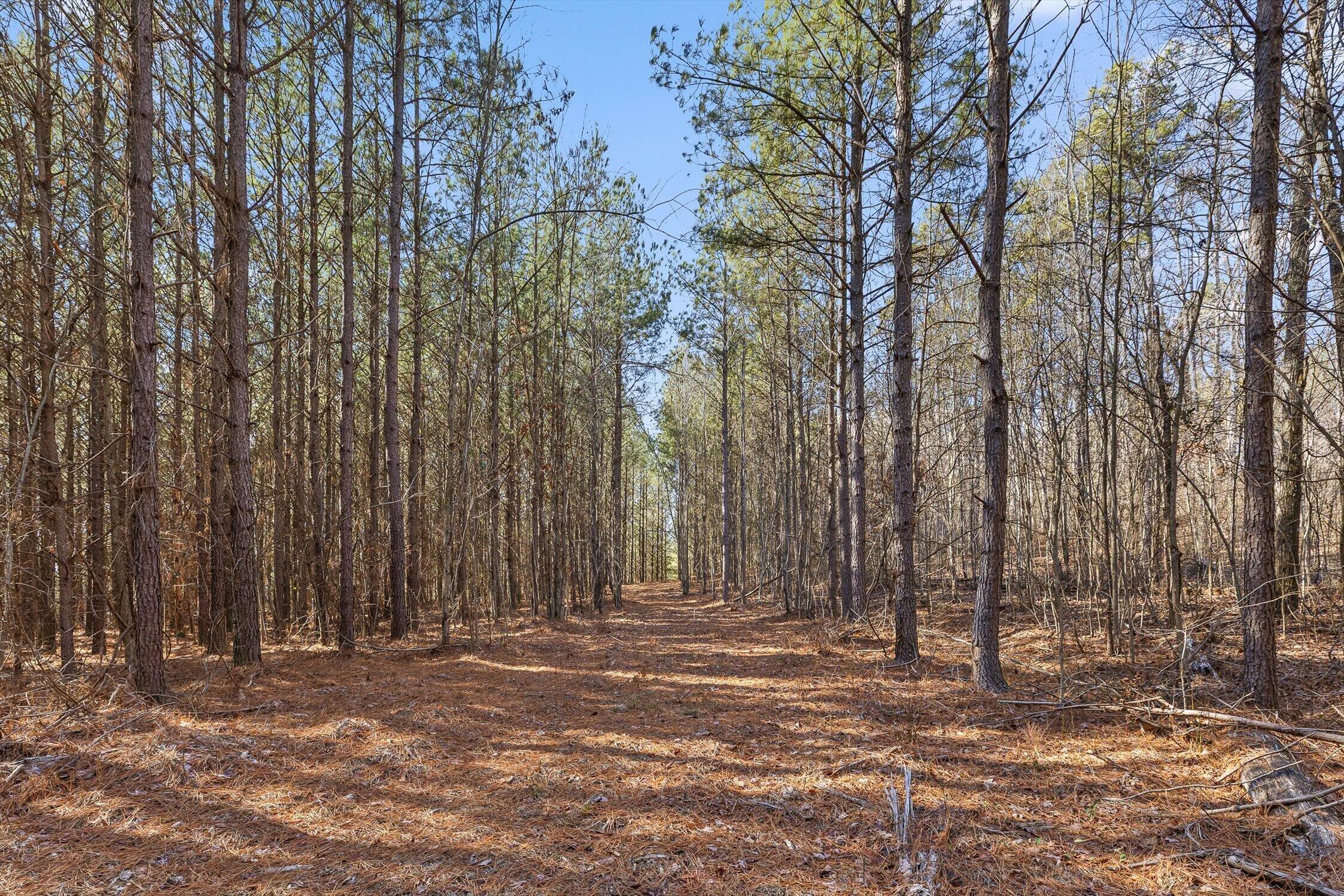 0 Wildlife Way Guild, TN 37340 - Photo 28 of 50 16-Wildlife-15