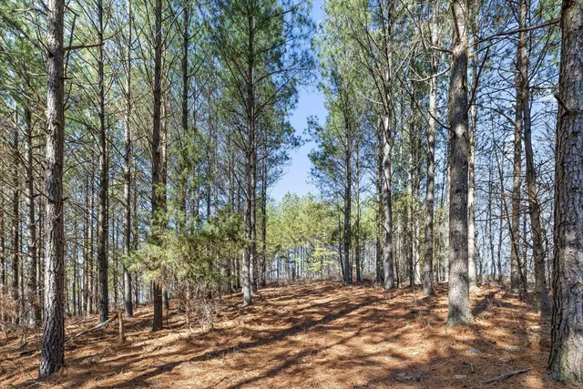 $233,000 | 0 Wildlife Way, Guild, TN 37340