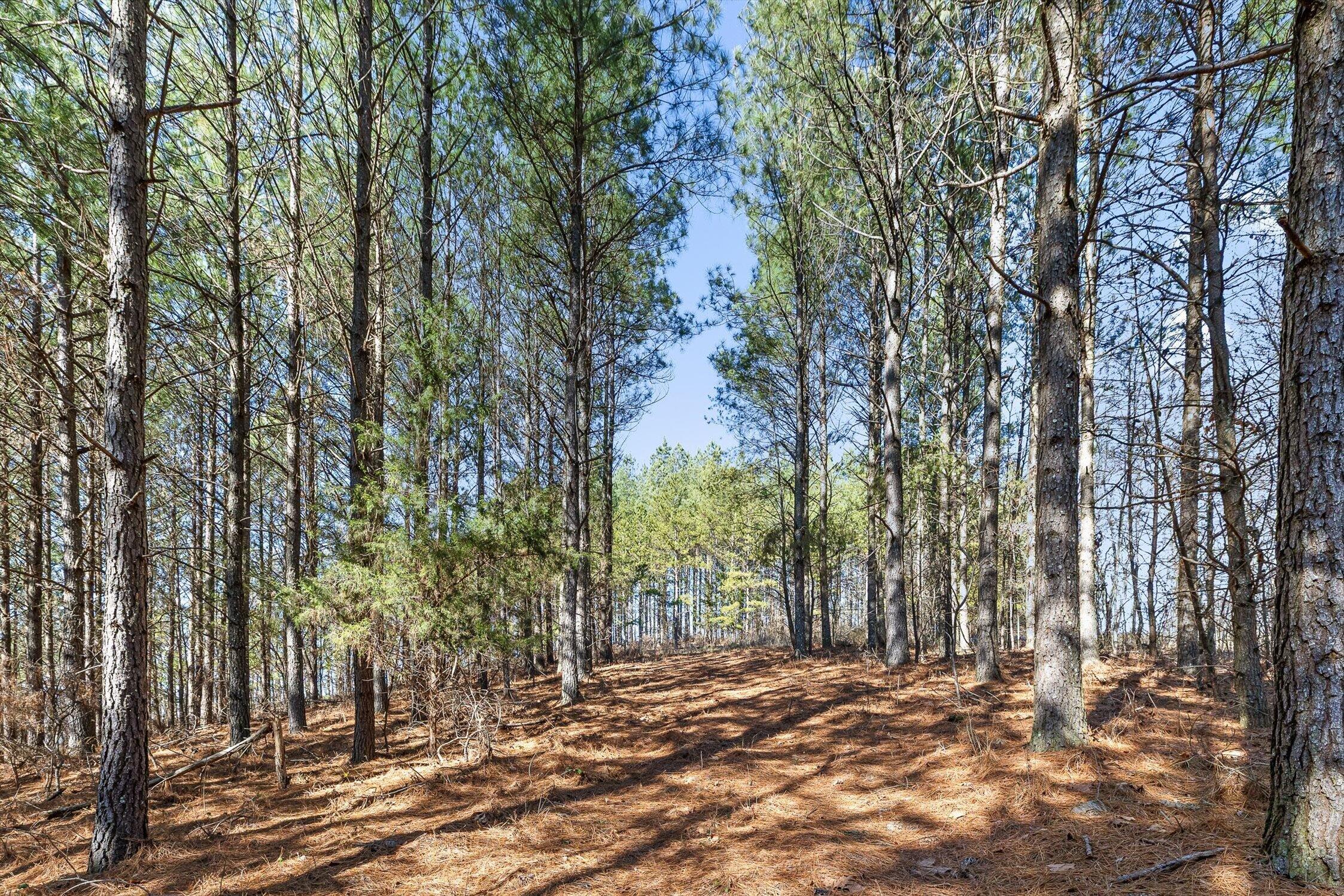 0 Wildlife Way Guild, TN 37340 - Photo 29 of 50 17-Wildlife-16