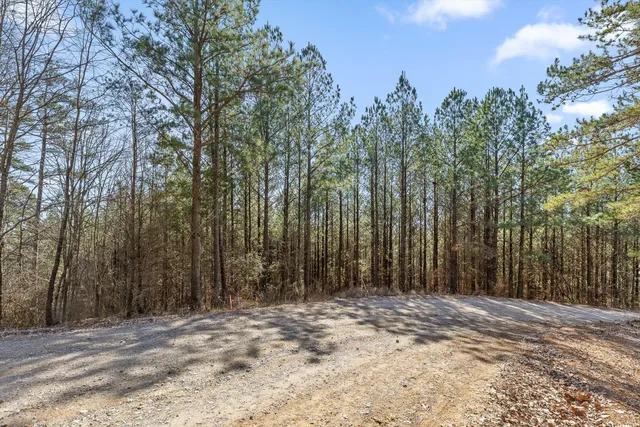 $233,000 | 0 Wildlife Way, Guild, TN 37340