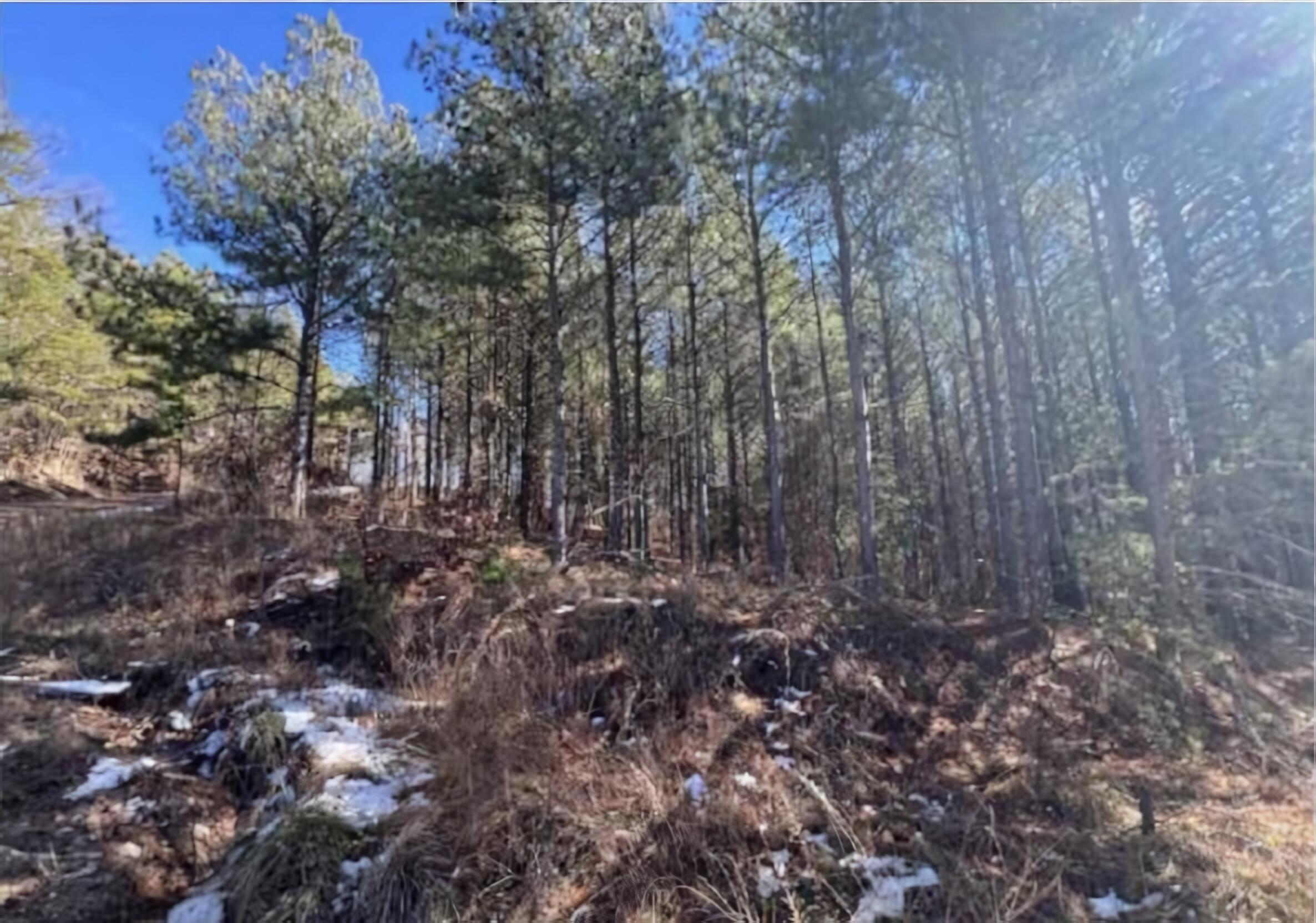 0 Wildlife Way Guild, TN 37340 - Photo 3 of 11 1