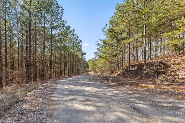 $233,000 | 0 Wildlife Way, Guild, TN 37340