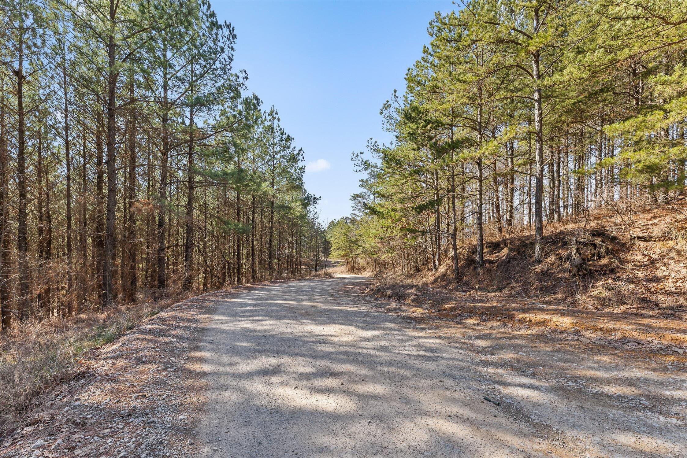 0 Wildlife Way Guild, TN 37340 - Photo 31 of 50 04-Wildlife-3