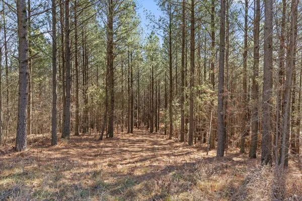 $233,000 | 0 Wildlife Way, Guild, TN 37340