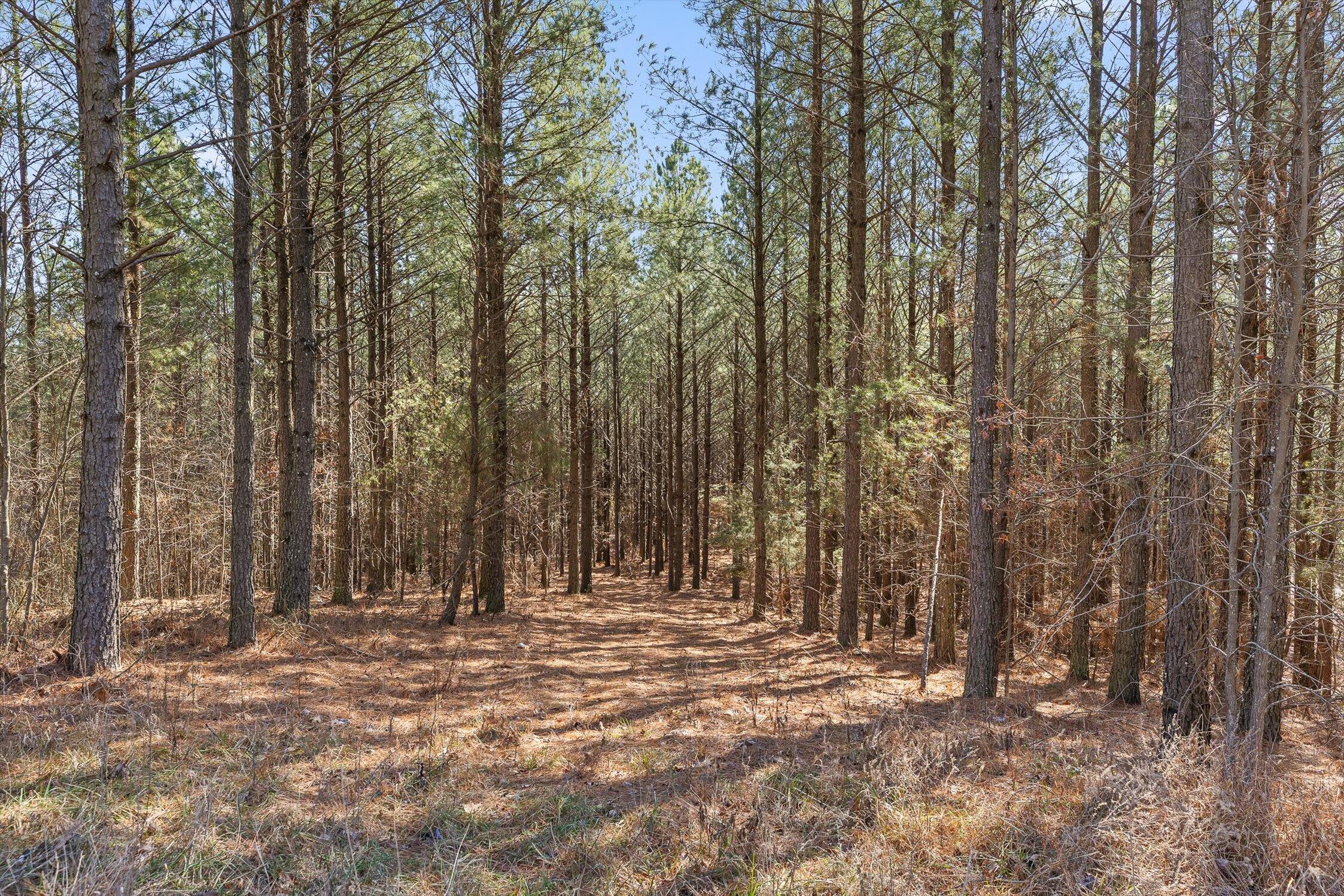 0 Wildlife Way Guild, TN 37340 - Photo 32 of 50 05-Wildlife-4