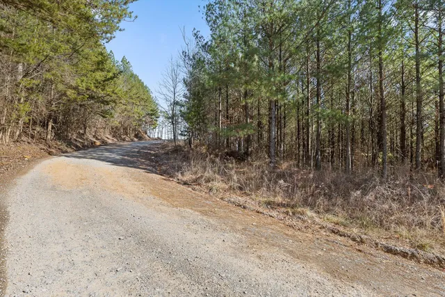 $233,000 | 0 Wildlife Way, Guild, TN 37340