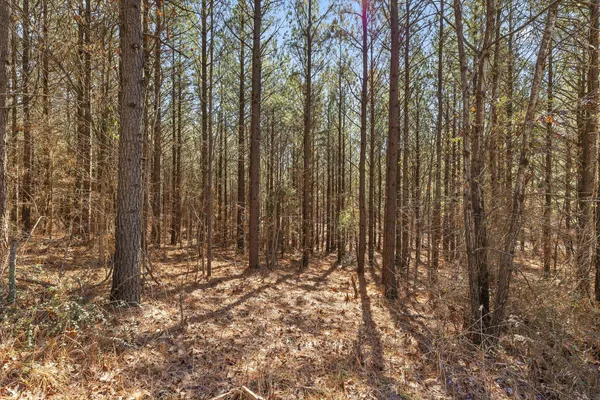 $233,000 | 0 Wildlife Way, Guild, TN 37340