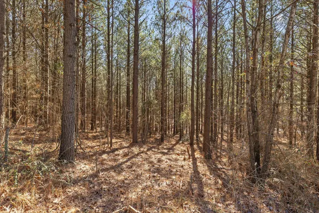 $233,000 | 0 Wildlife Way, Guild, TN 37340