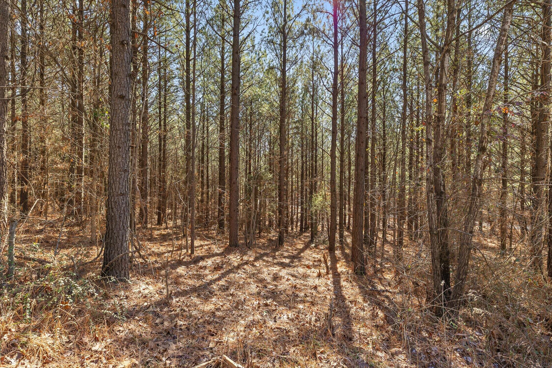 0 Wildlife Way Guild, TN 37340 - Photo 34 of 50 07-Wildlife-6