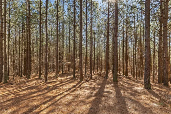 $233,000 | 0 Wildlife Way, Guild, TN 37340