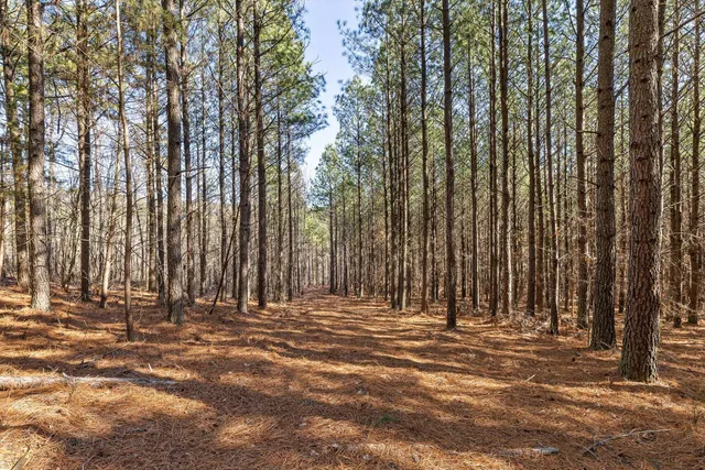 $233,000 | 0 Wildlife Way, Guild, TN 37340