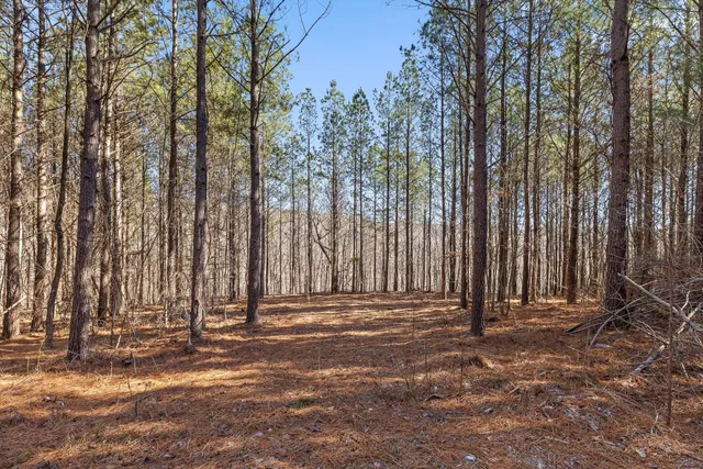 $233,000 | 0 Wildlife Way, Guild, TN 37340