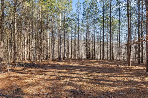 $233,000 | 0 Wildlife Way, Guild, TN 37340