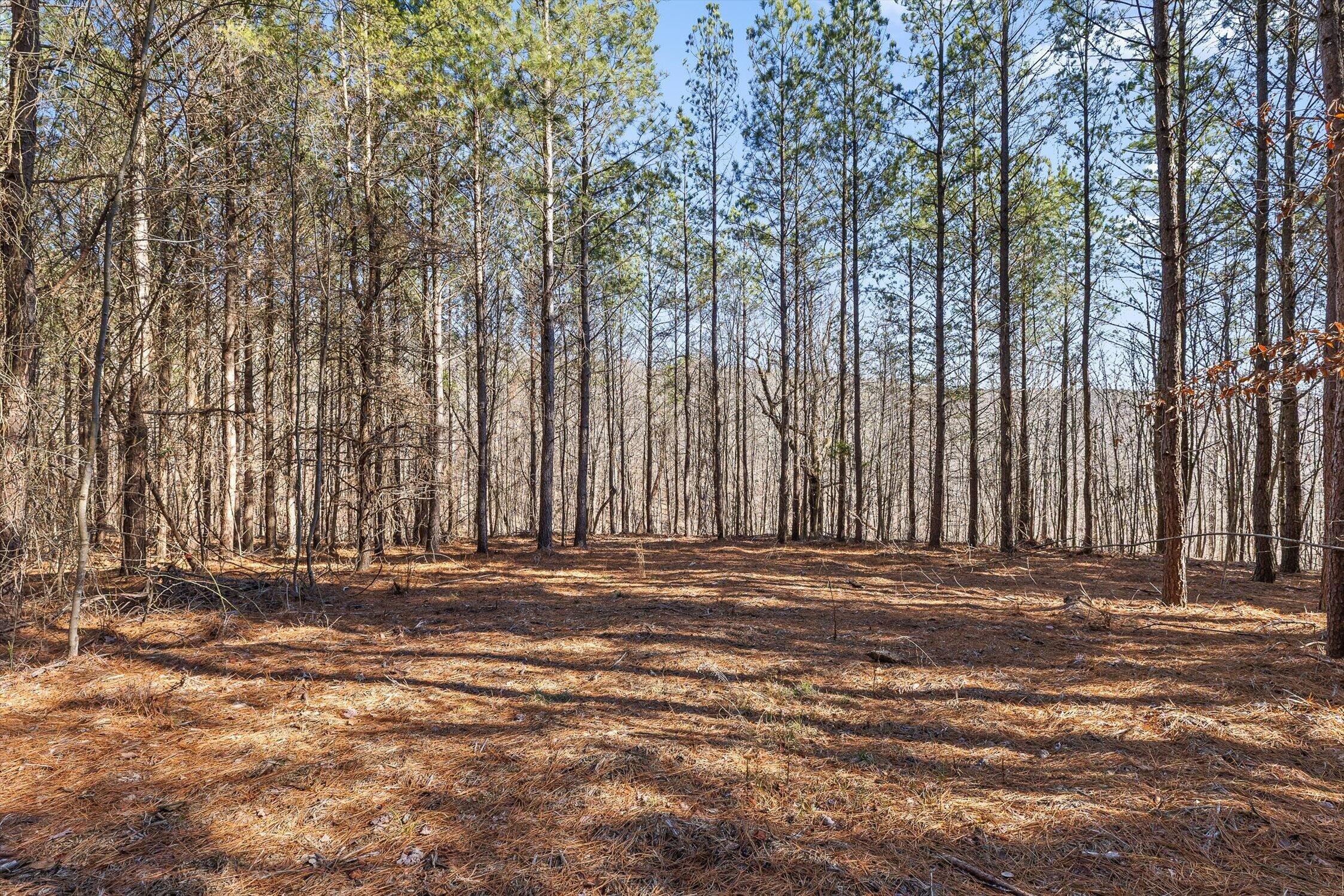 0 Wildlife Way Guild, TN 37340 - Photo 38 of 50 11-Wildlife-10