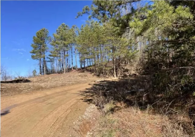 $235,000 | 0 Wildlife Way, Guild, TN 37340