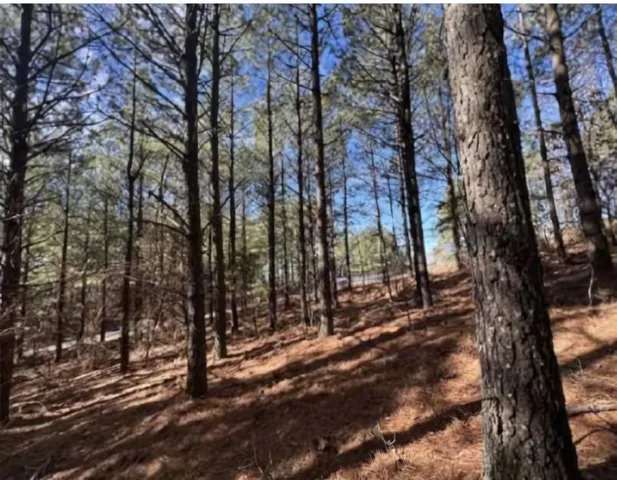 $235,000 | 0 Wildlife Way, Guild, TN 37340