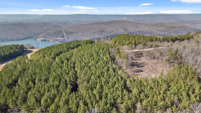 $233,000 | 0 Wildlife Way, Guild, TN 37340