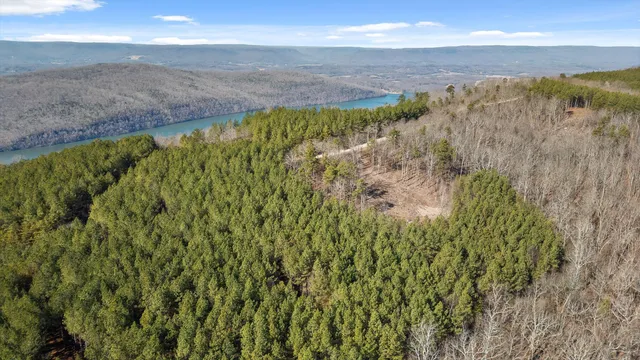 $233,000 | 0 Wildlife Way, Guild, TN 37340