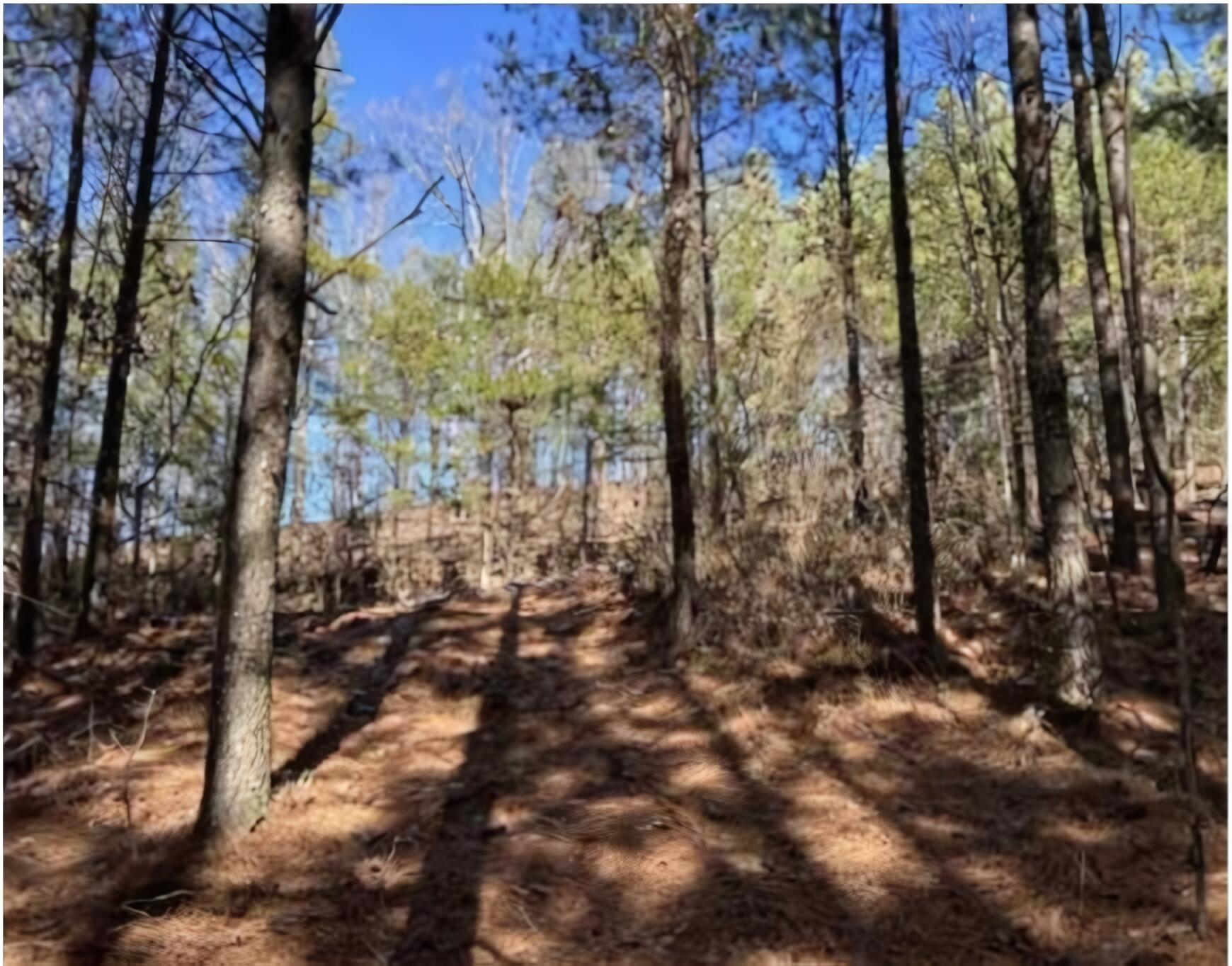 0 Wildlife Way Guild, TN 37340 - Photo 6 of 11 5