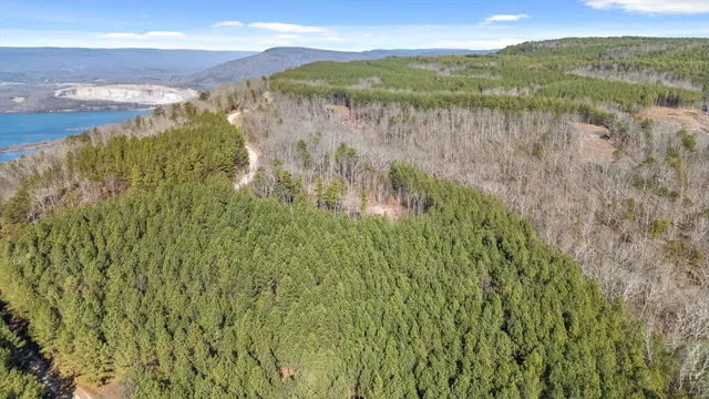 $233,000 | 0 Wildlife Way, Guild, TN 37340