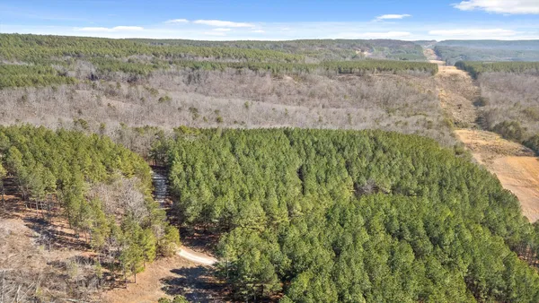 $233,000 | 0 Wildlife Way, Guild, TN 37340