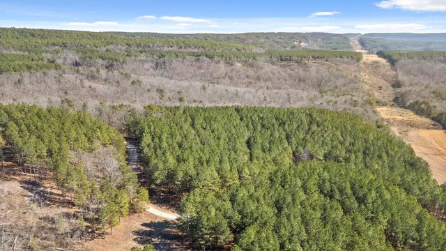 $233,000 | 0 Wildlife Way, Guild, TN 37340