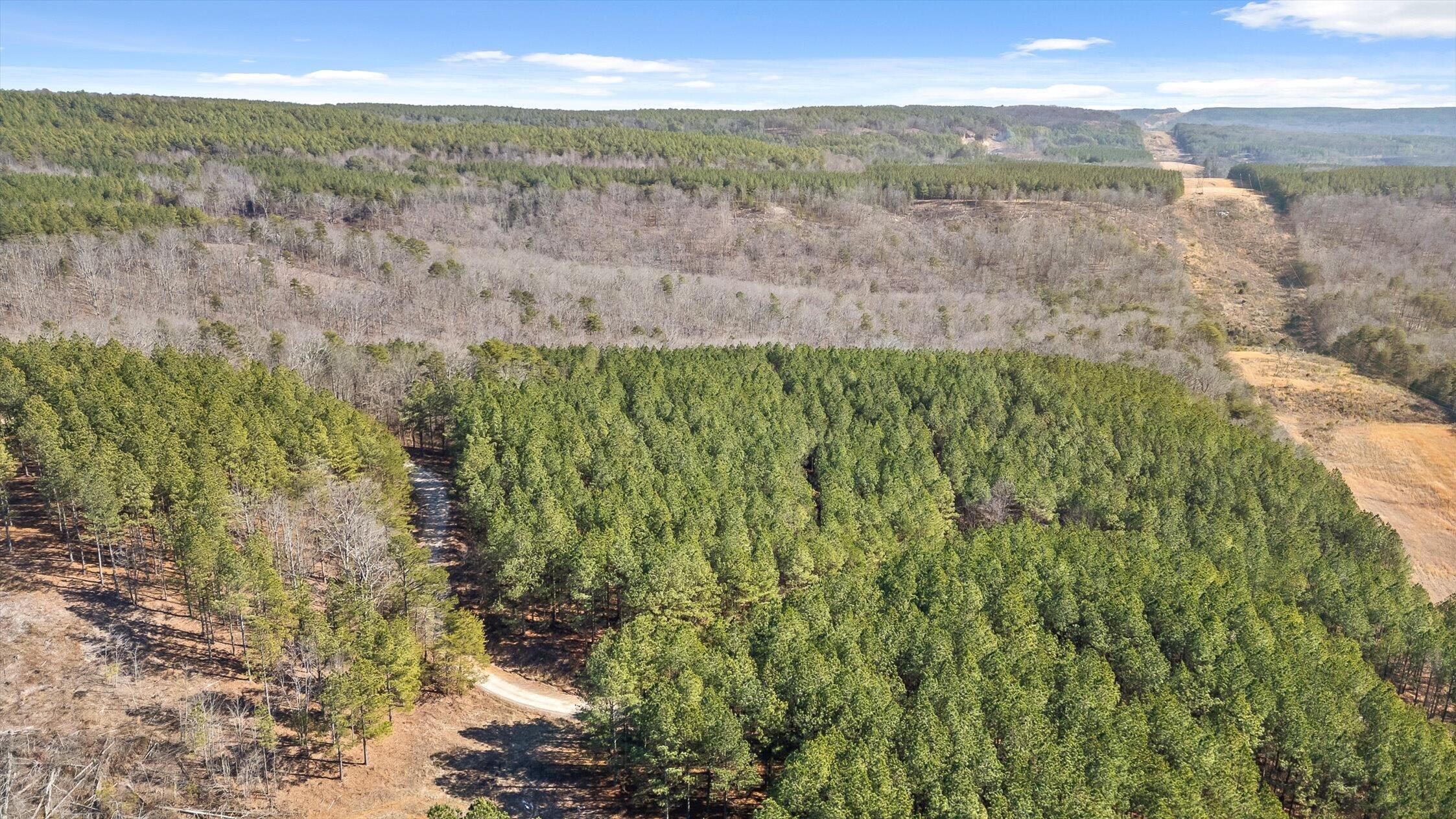0 Wildlife Way Guild, TN 37340 - Photo 8 of 50 25-Wildlife-24