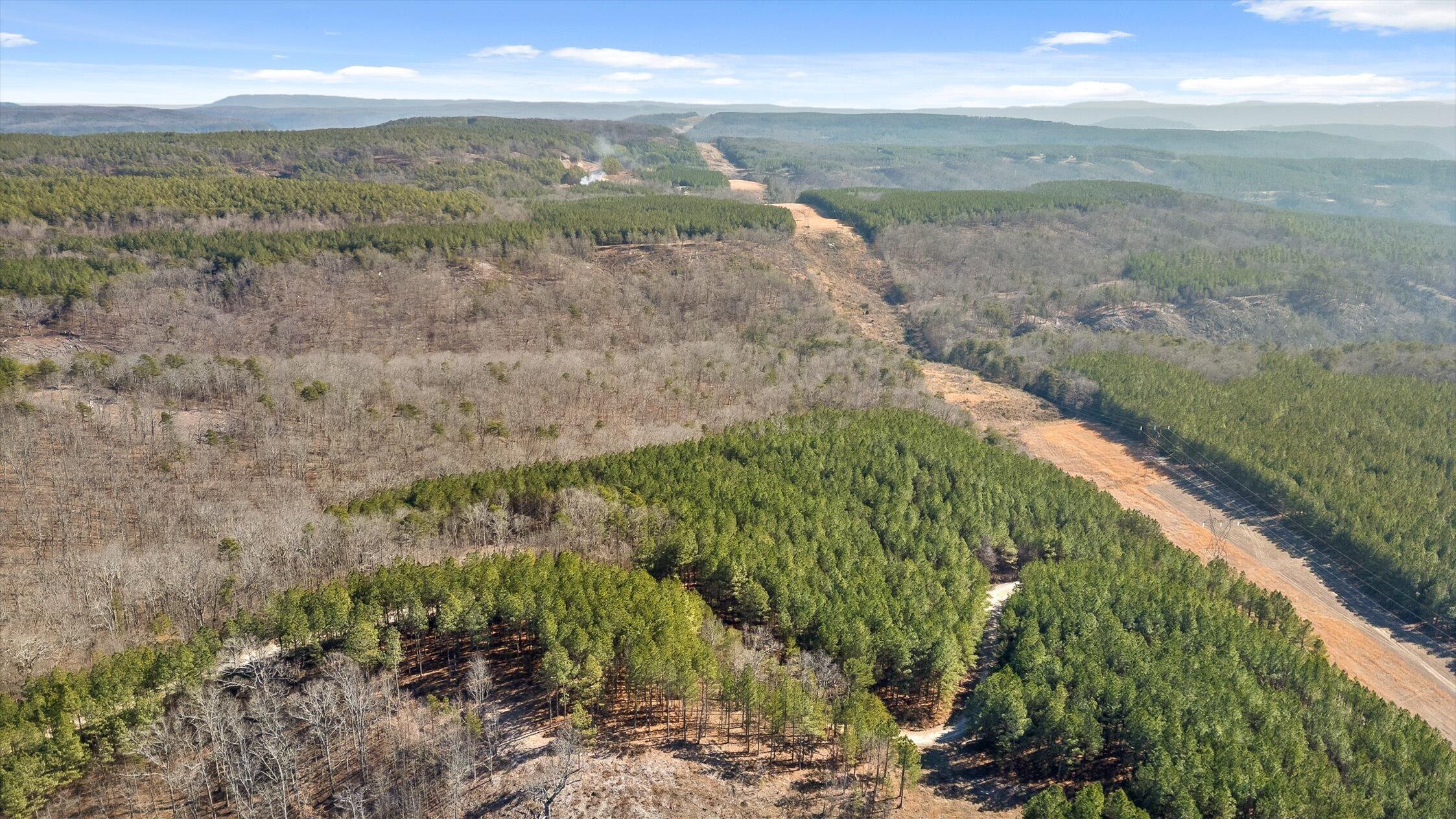 0 Wildlife Way Guild, TN 37340 - Photo 10 of 50 27-Wildlife-26
