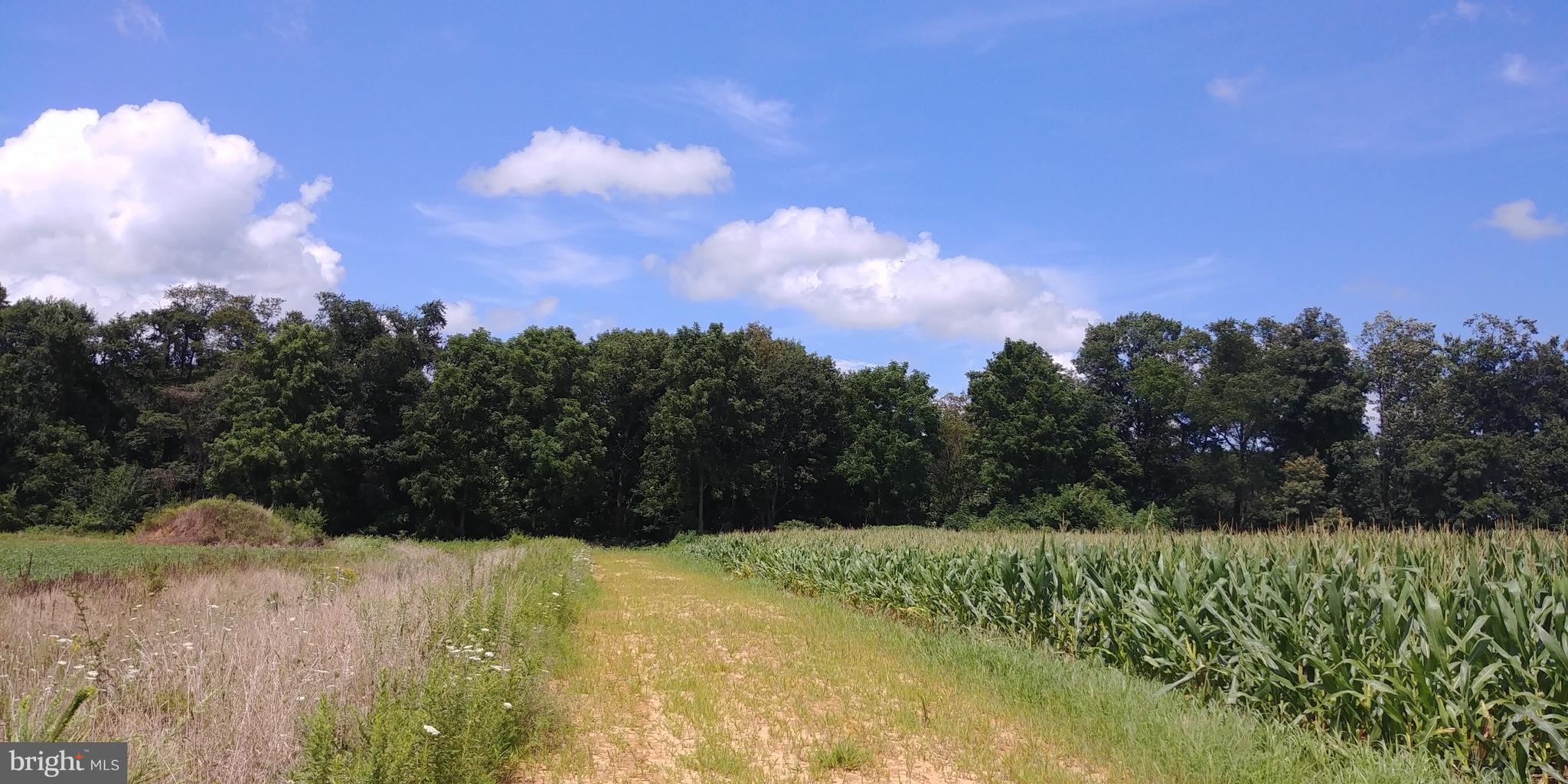 508 Old Telegraph Road Warwick, MD 21912 - Photo 1 of 1