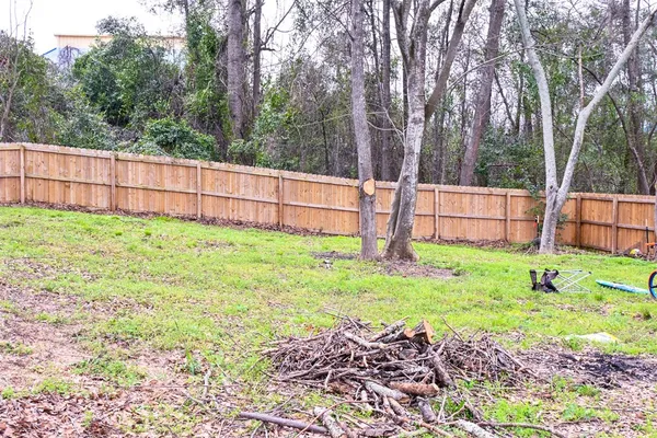 a view of backyard with small cabin