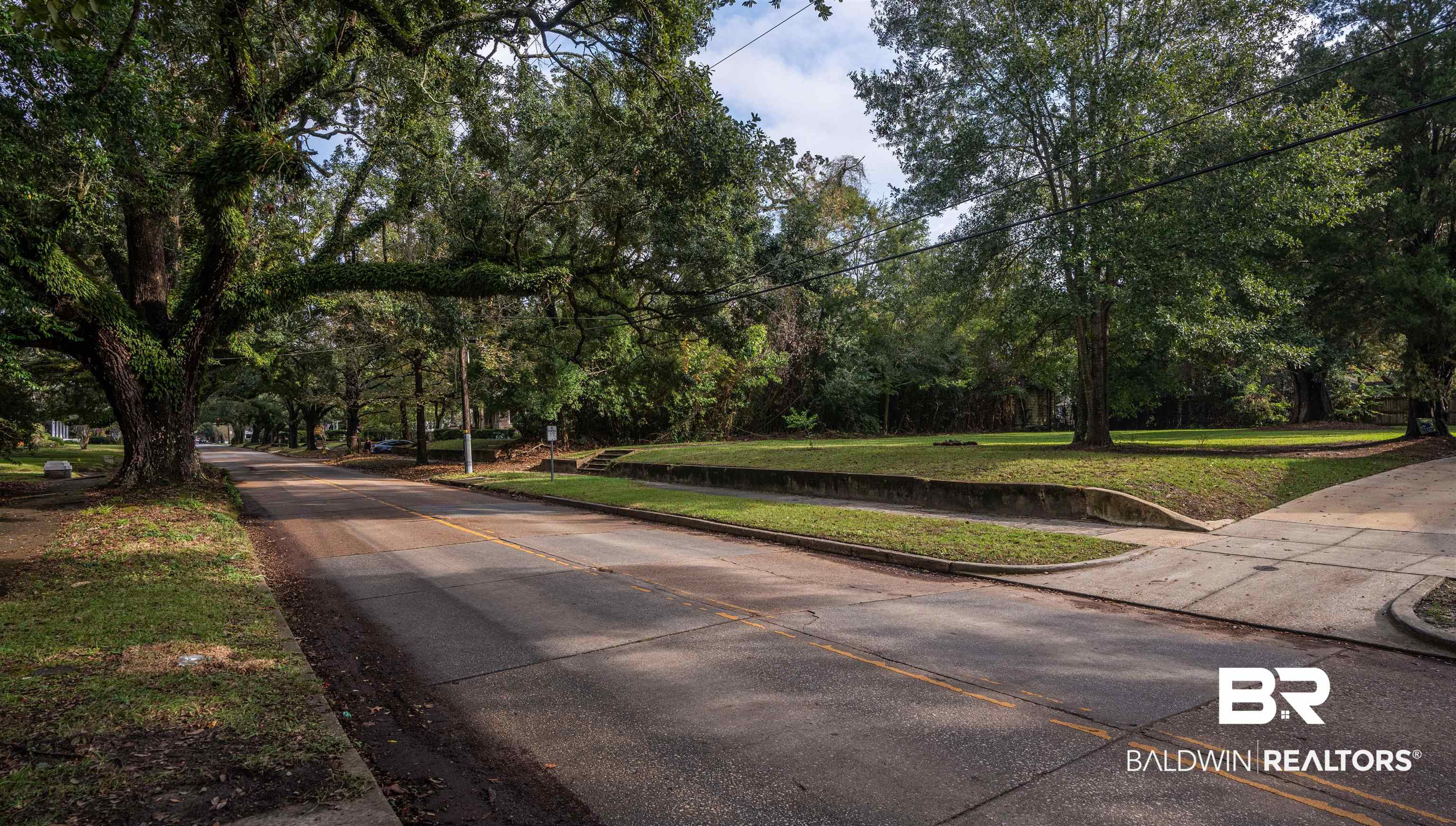 113 Houston Street Mobile, AL 36606 - Photo 7 of 15 View of road