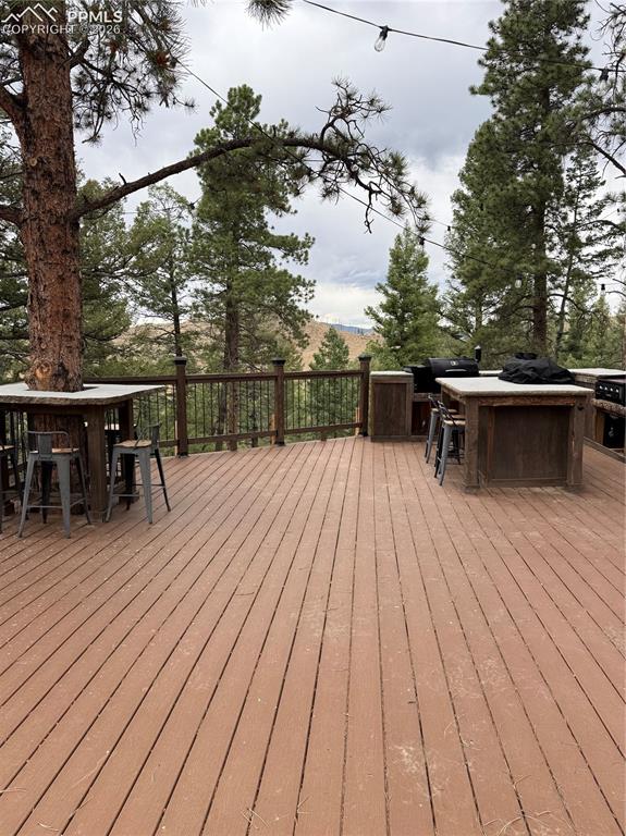 1176 Trail Creek Road Lake George, CO 80827 - Photo 12 of 34
