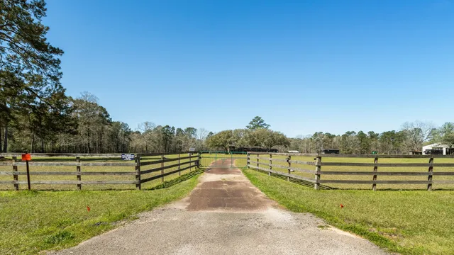 a view of park with large trees
